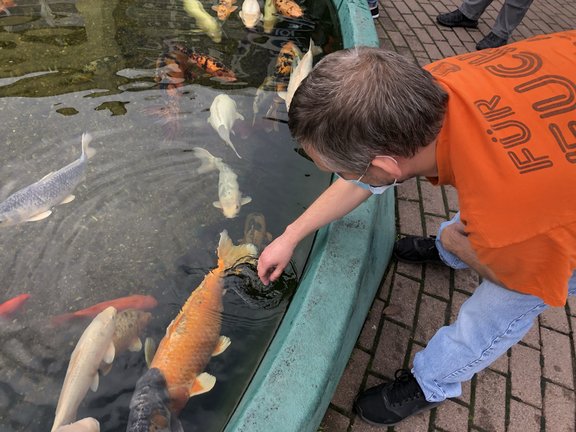 Fütterung Mann beobachtet Fisch